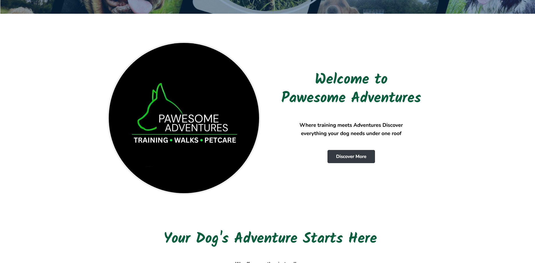 Screenshot 2025-08-12 at 10-51-47 Home - Pawesome Adventures Dog Walking-Dog training-Pet Sitting Services