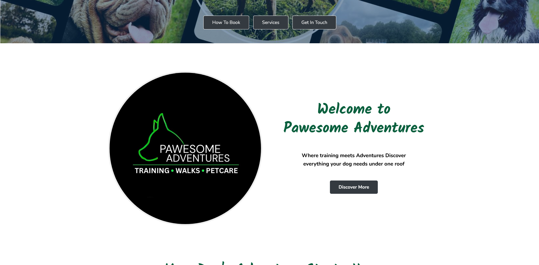 Screenshot 2025-08-13 at 08-47-55 Home - Pawesome Adventures Dog Walking-Dog training-Pet Sitting Services Screenshot 2025-08-13 at 08-47-55 Home - Pawesome Adventures Dog Walking-Dog training-Pet Sitting Services