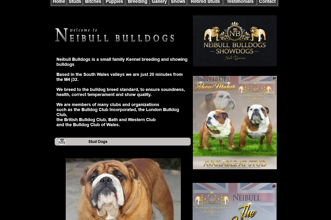 Screenshot 2025-08-15 at 04-28-01 Bulldog Breeder Puppies for sale Studs available based in south wales Screenshot 2025-08-15 at 04-28-01 Bulldog Breeder Puppies for sale Studs available based in south wales